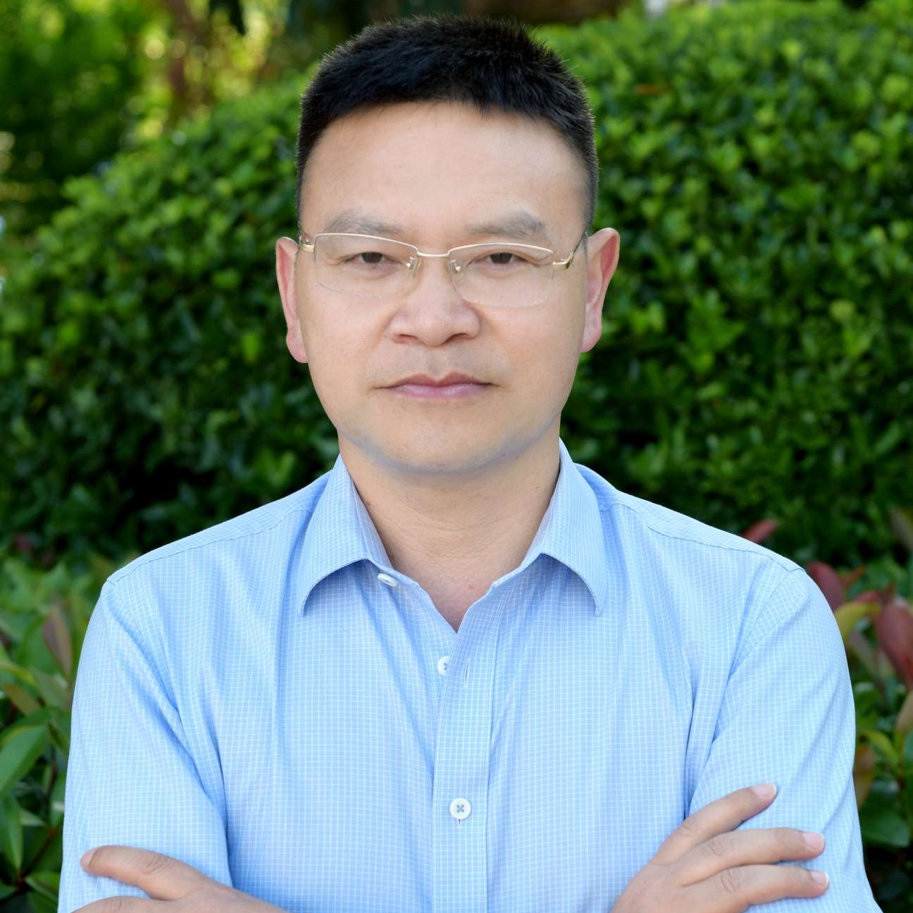 Z胡杨树的照片