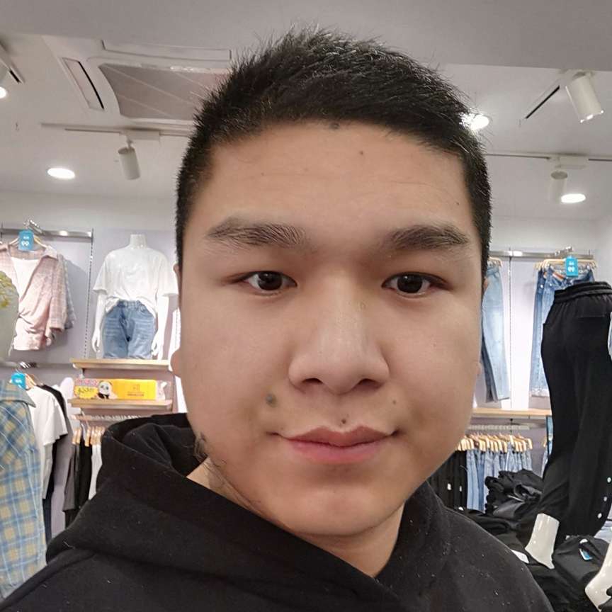 孤独深拥向日葵的照片