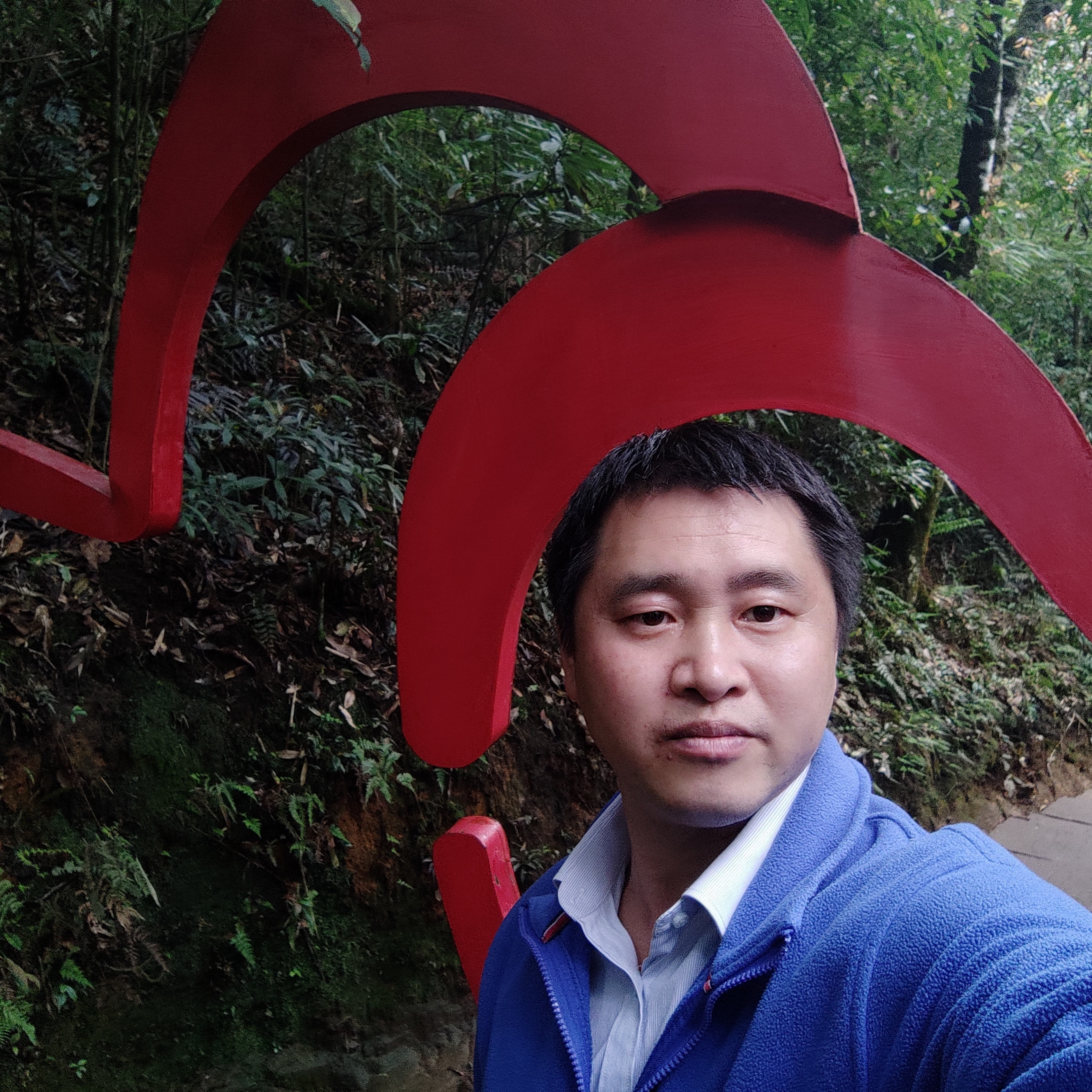 什么软件的照片