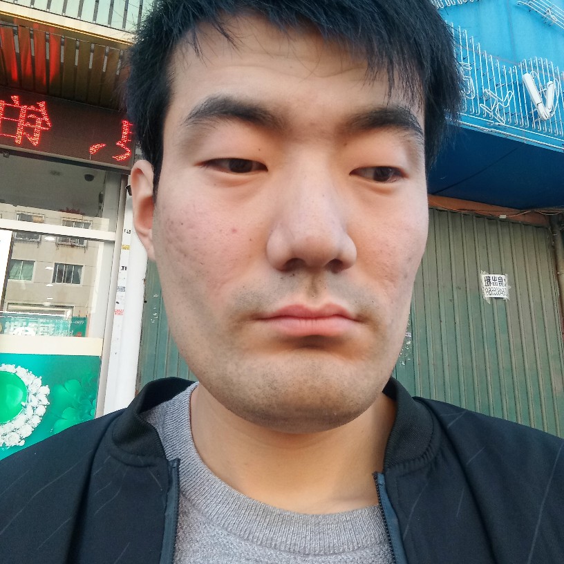 绚烂飞鸟的照片
