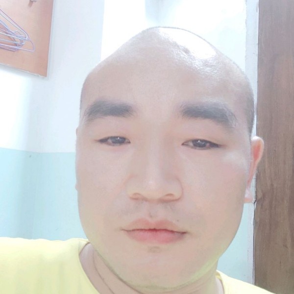 初夏的风风的照片