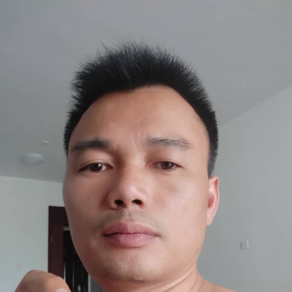 暖光美丽的照片