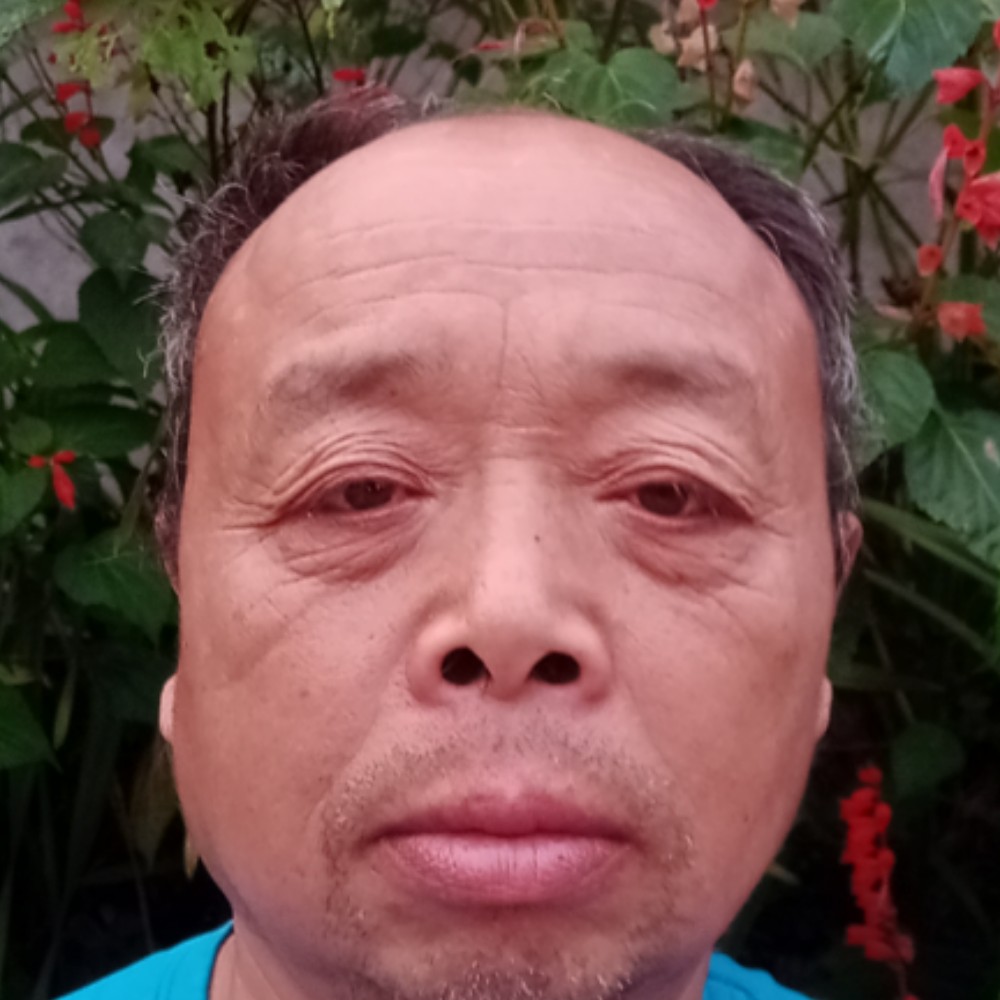 羽毛深拥魁梧的照片