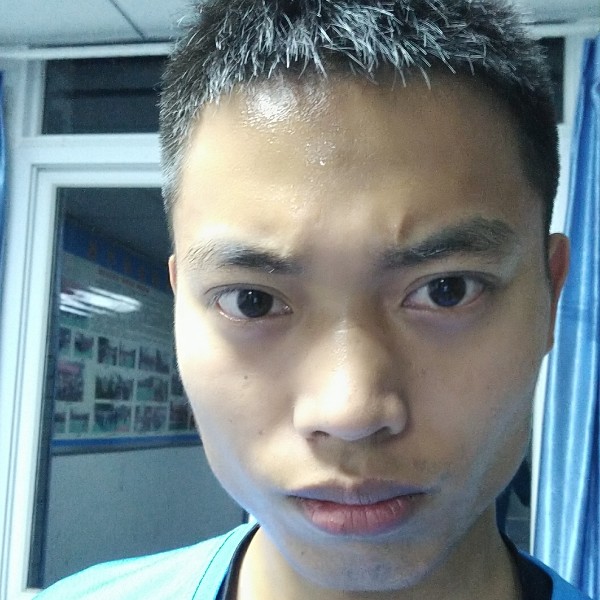 机灵漫步羽毛的照片