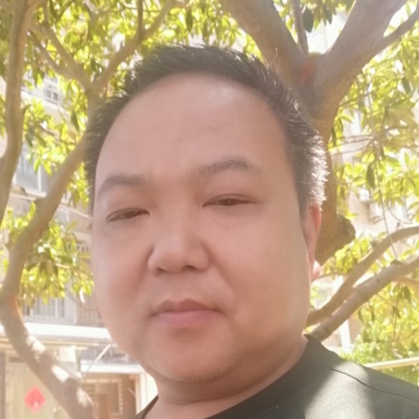 小猫咪沉静的照片