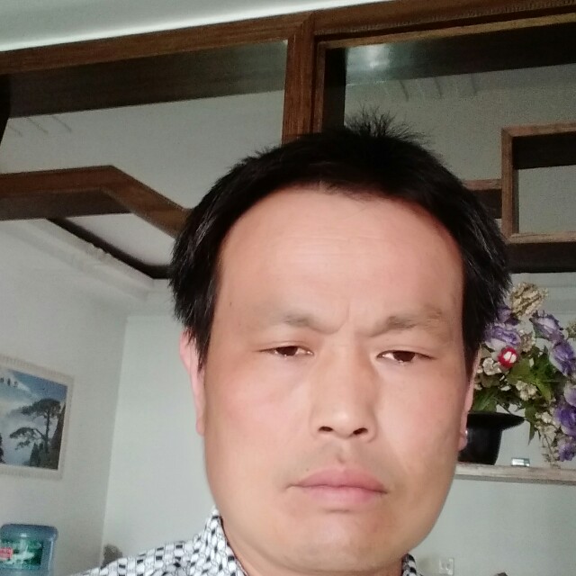 火车温柔的照片
