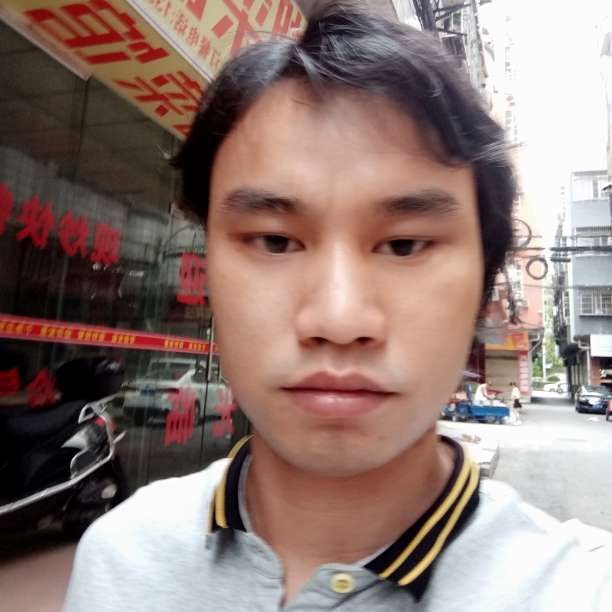 灰太狼狗的照片