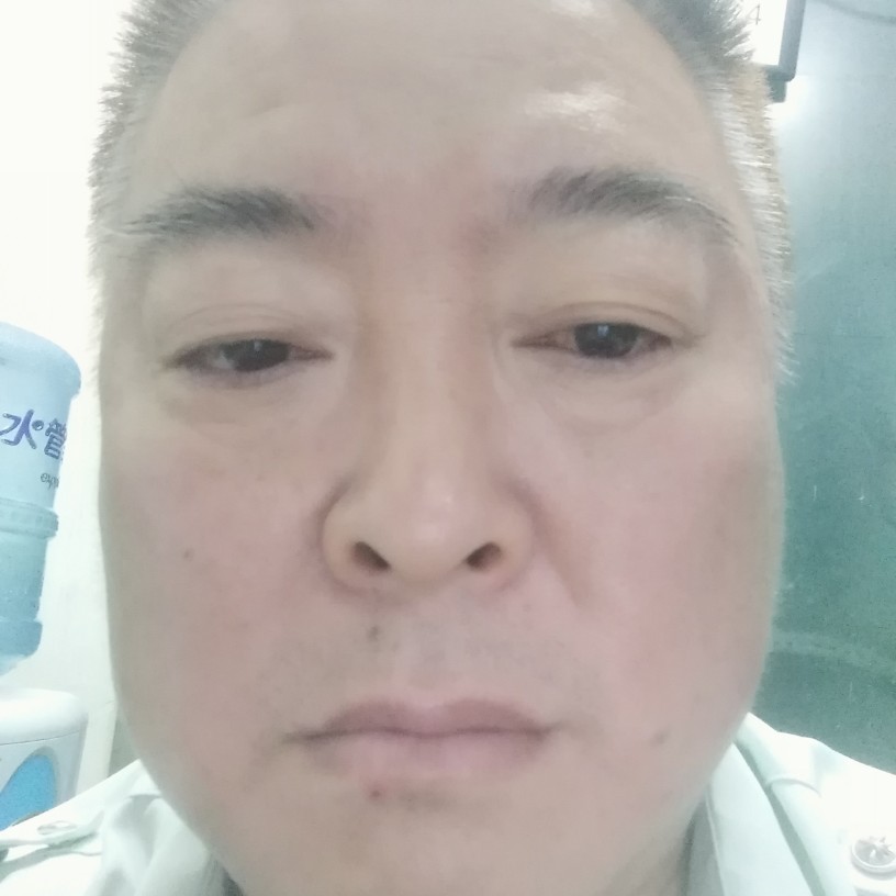 上海猪猪的照片
