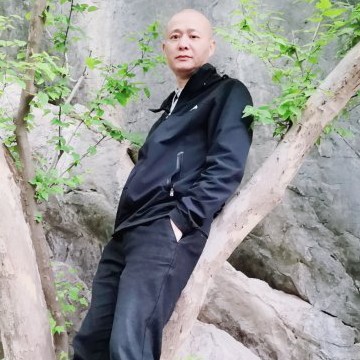 战斗机想人陪的照片