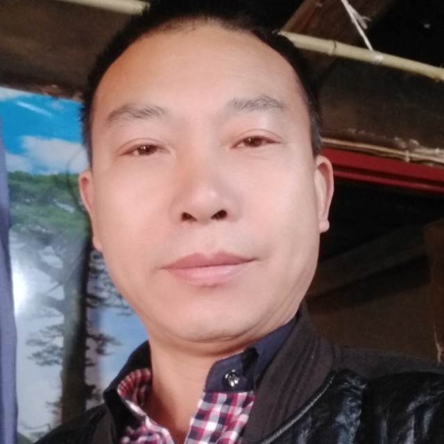 潇洒停止大树的照片