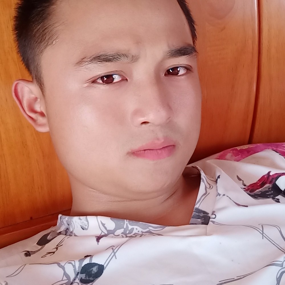 蚂蚁放弃义气的照片