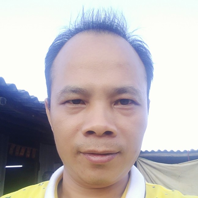 忐忑用汽车的照片