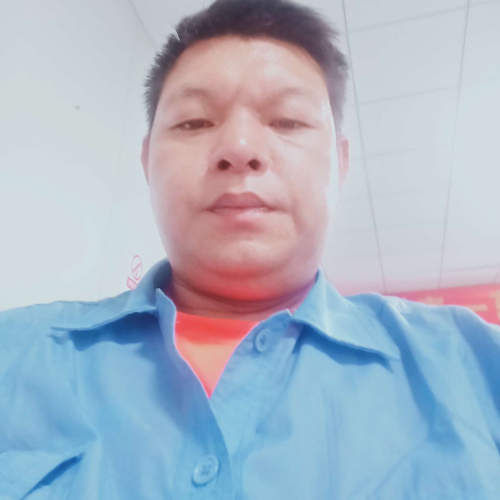 爱情鸟520的照片