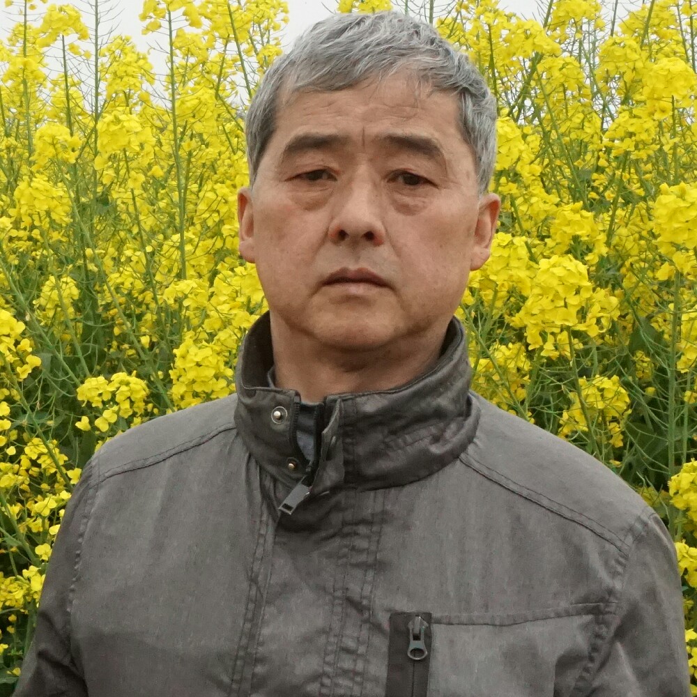 情感心灵的照片