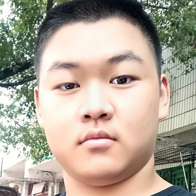 孝顺蚂蚁的照片