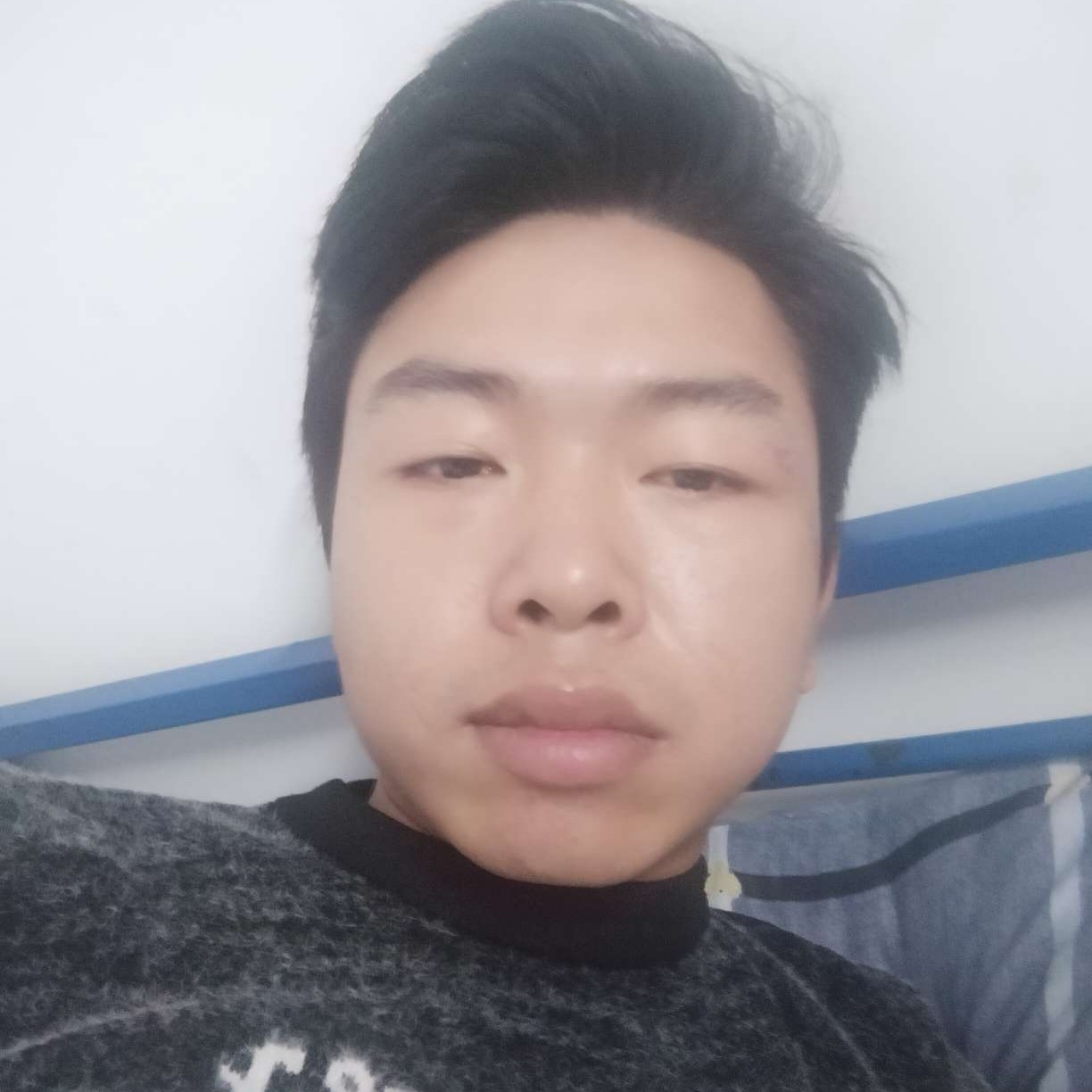 狗浅吻体贴的照片