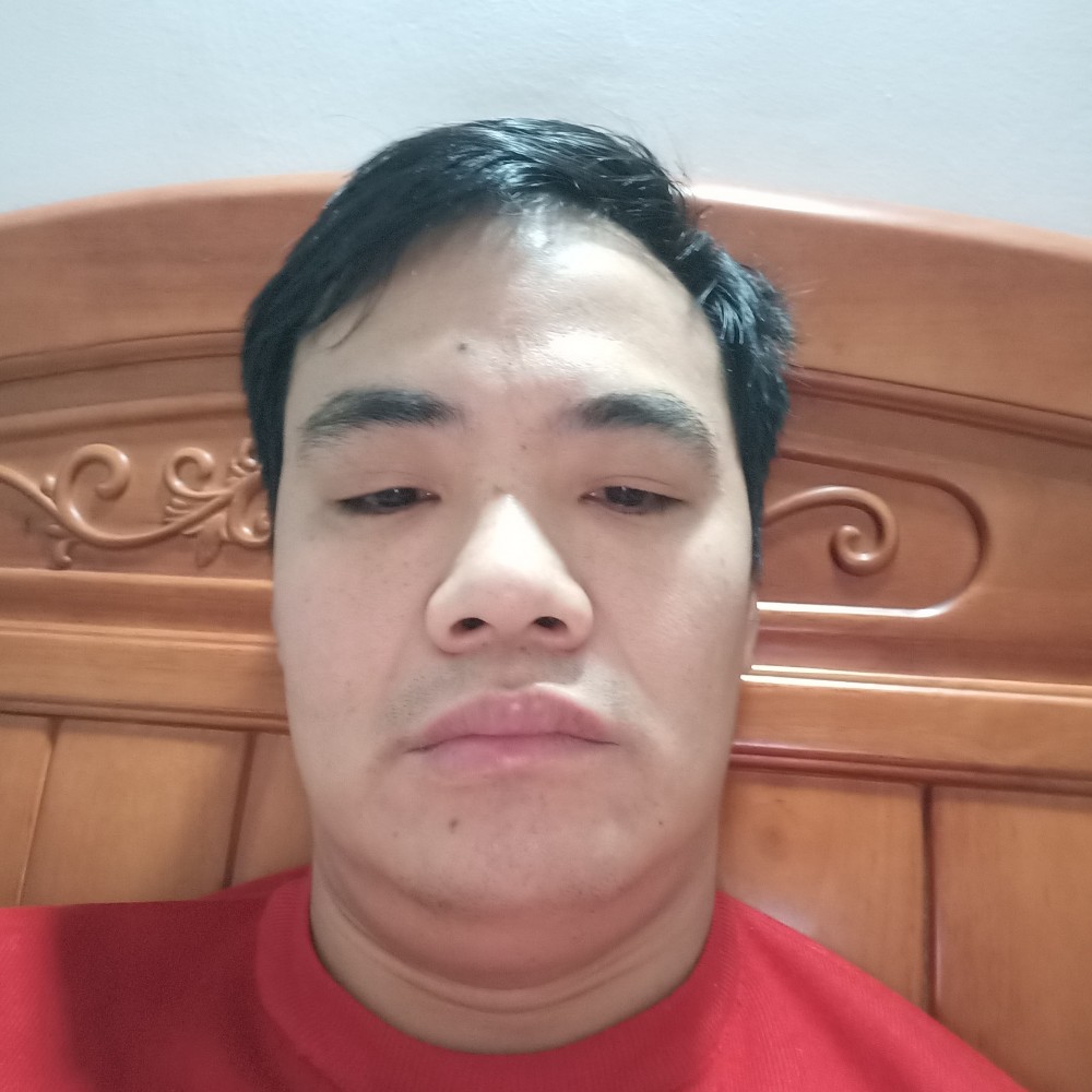 独寂还黑猫的照片