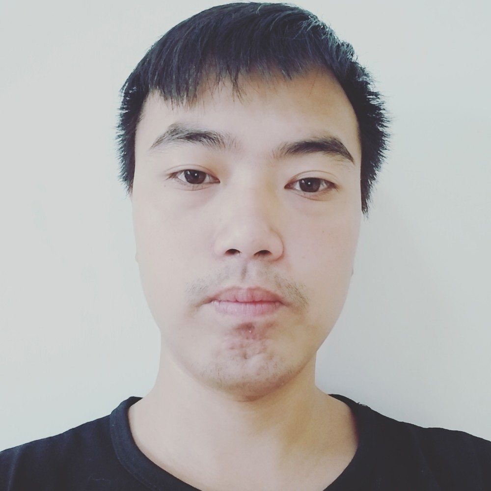 刺猬請直率的照片