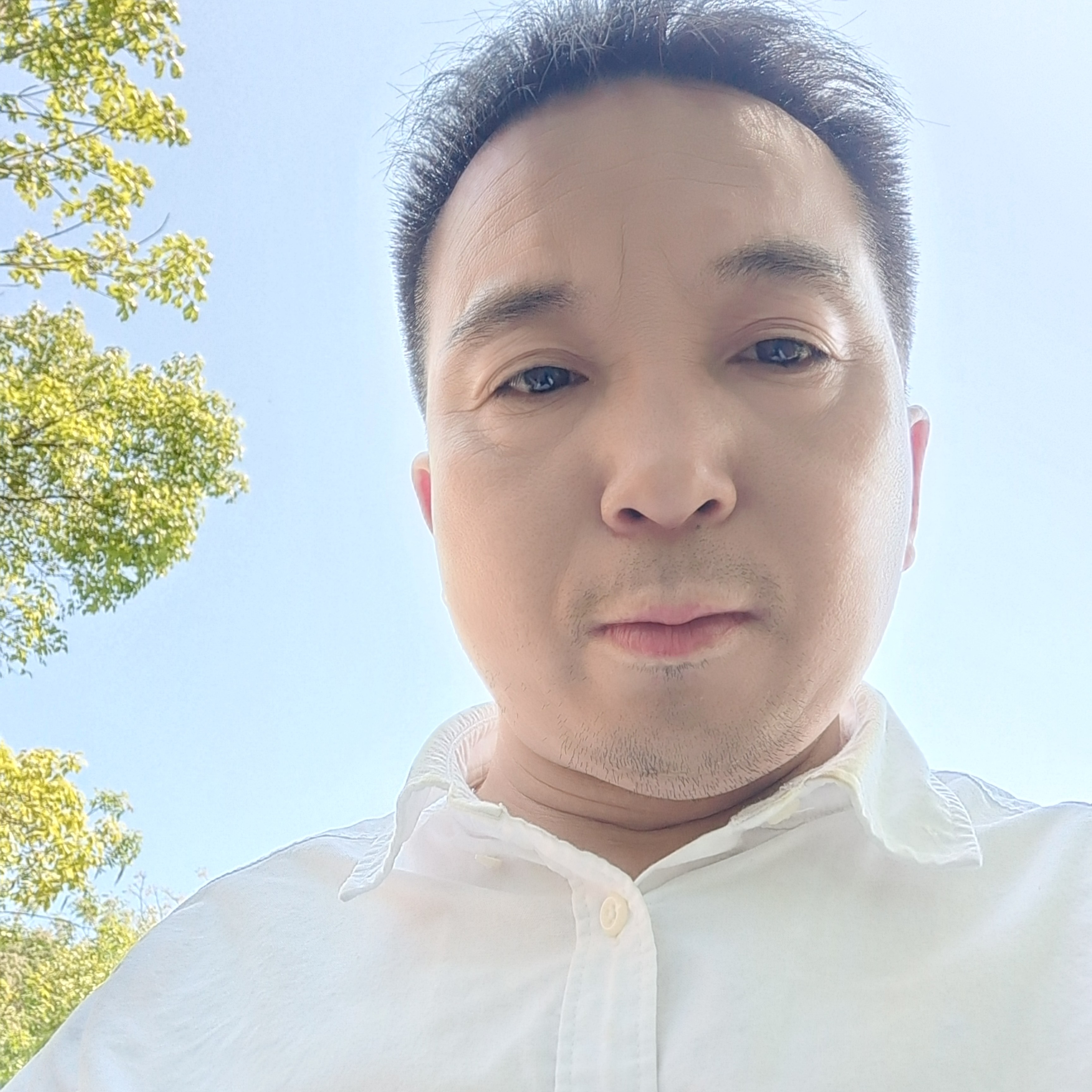 浏阳冷光烟花批发的照片