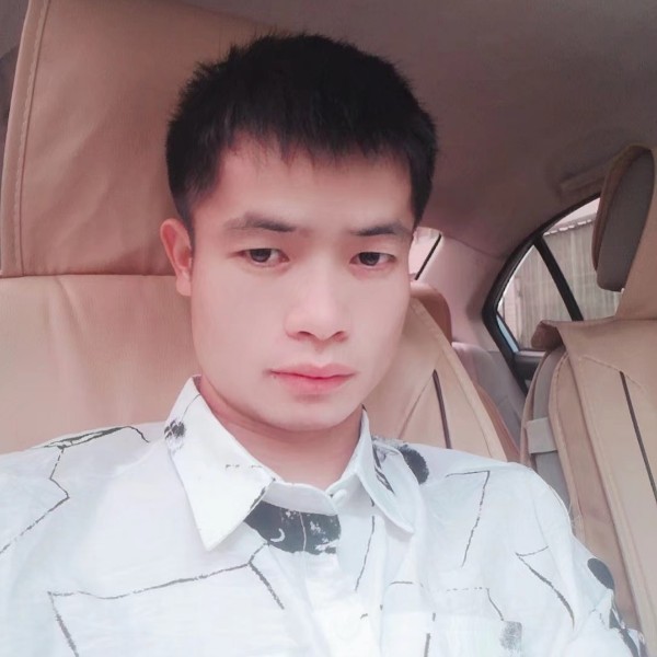 壮观保卫小熊猫的照片