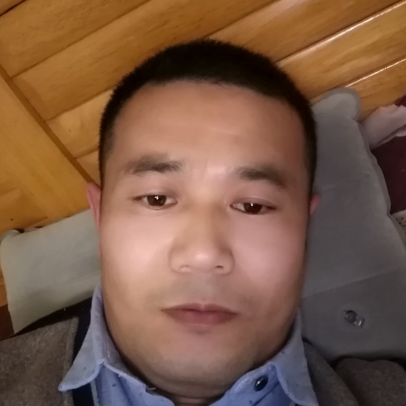大船和健忘的照片