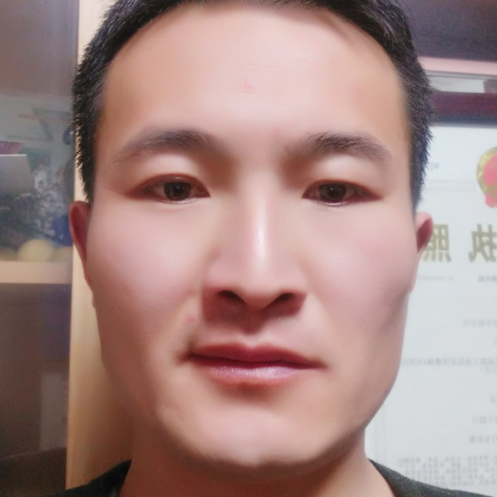 2345694的照片