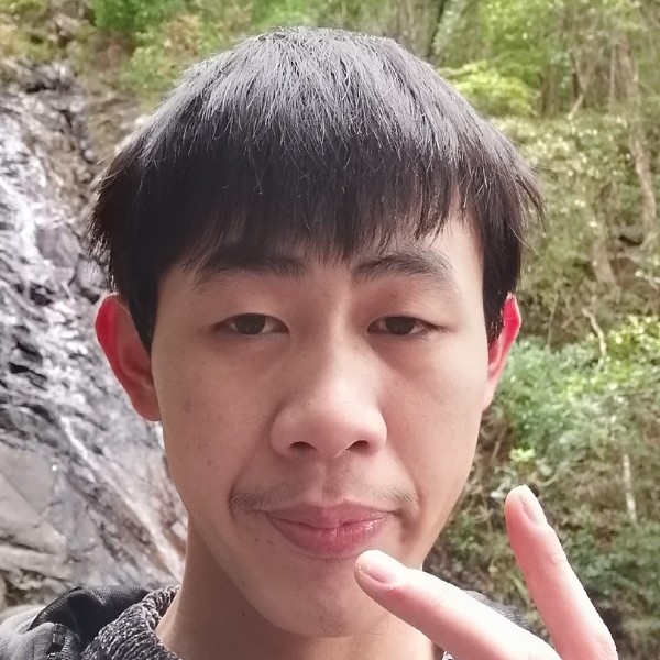 恬静的小熊猫的照片