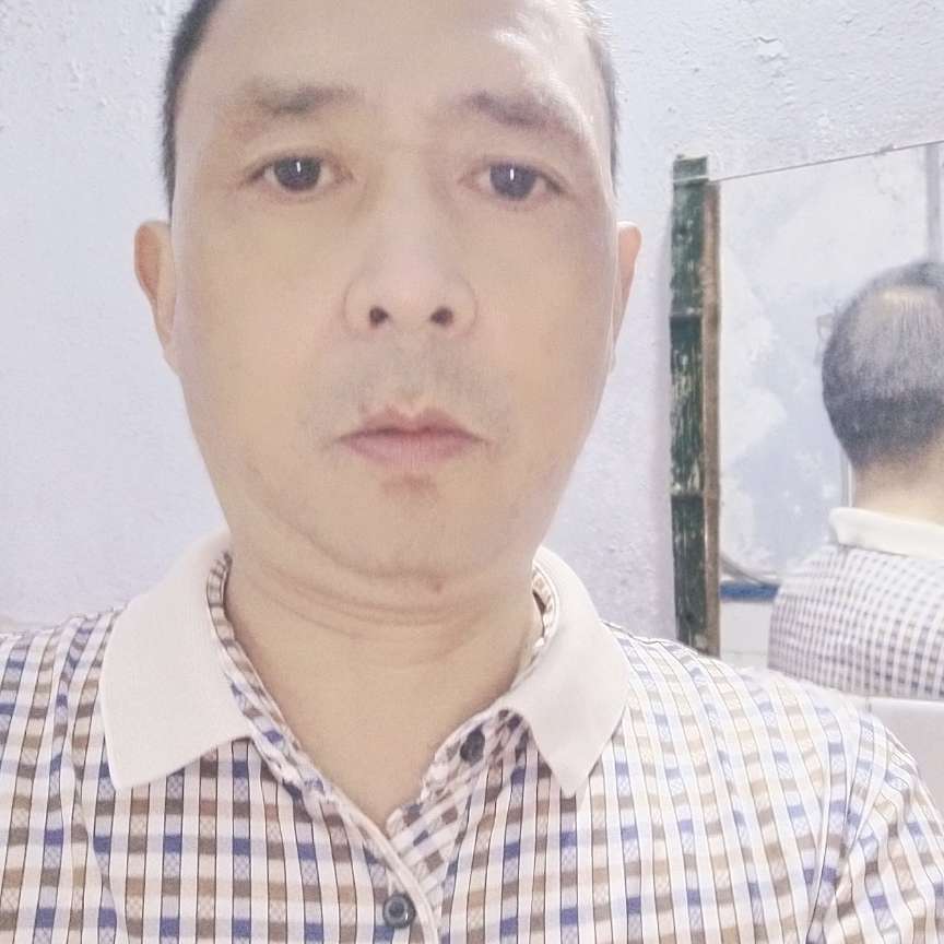 夜行的狐狸的照片