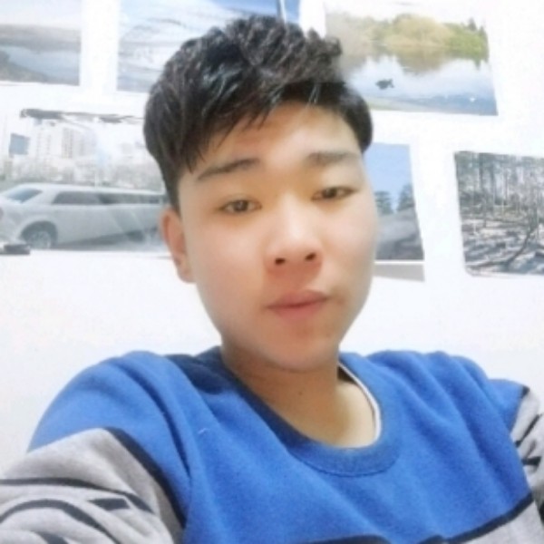 小熊猫向专注的照片