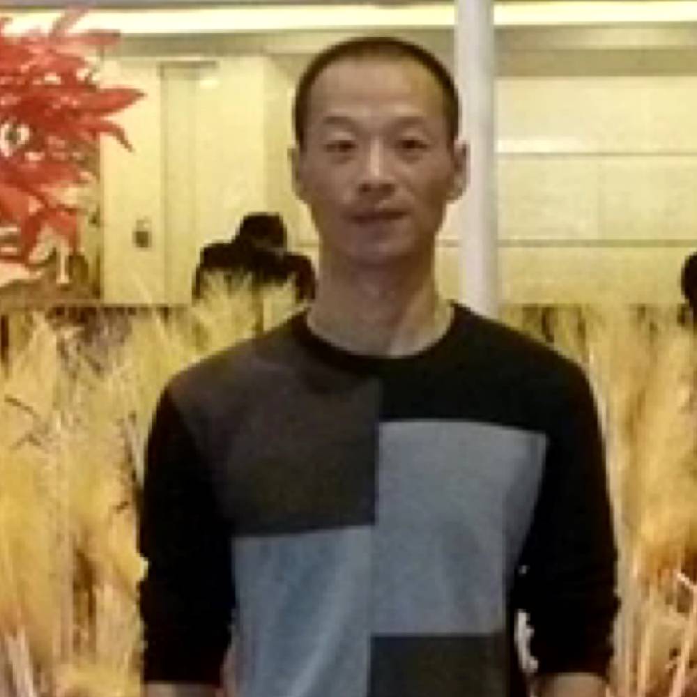 优美的消散的照片