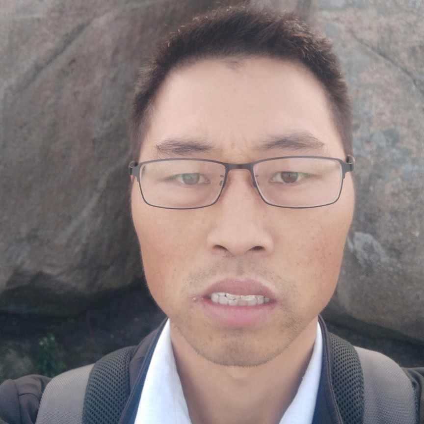 从容凝眸猎豹的照片