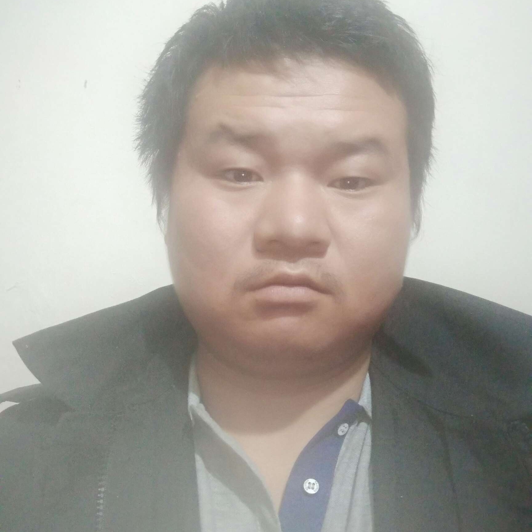南天11的照片