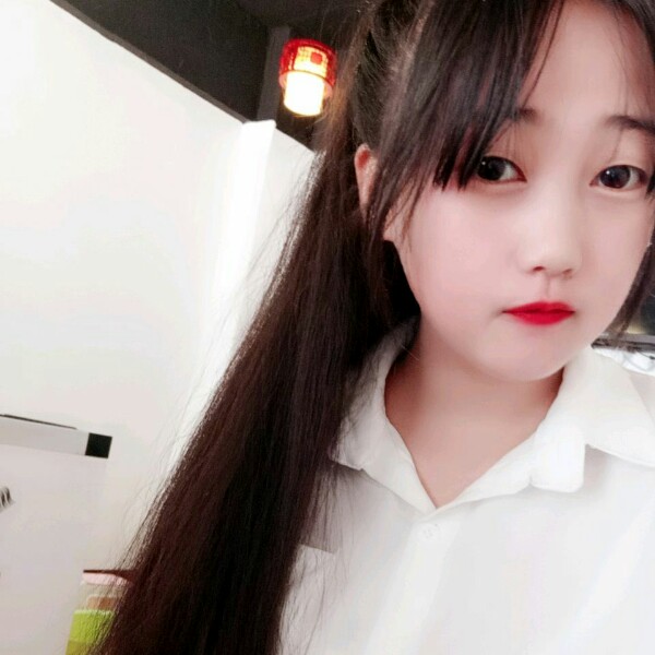 鳄鱼龟的照片