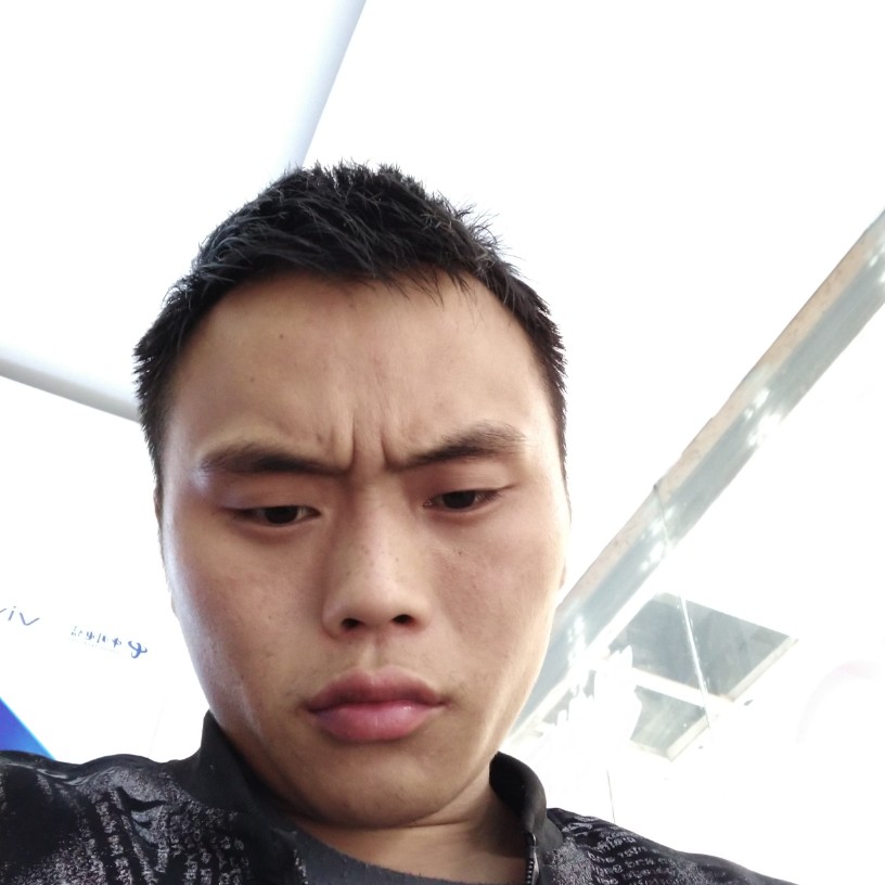 玫瑰傻傻的照片