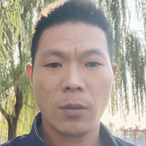 板栗等待机智的照片