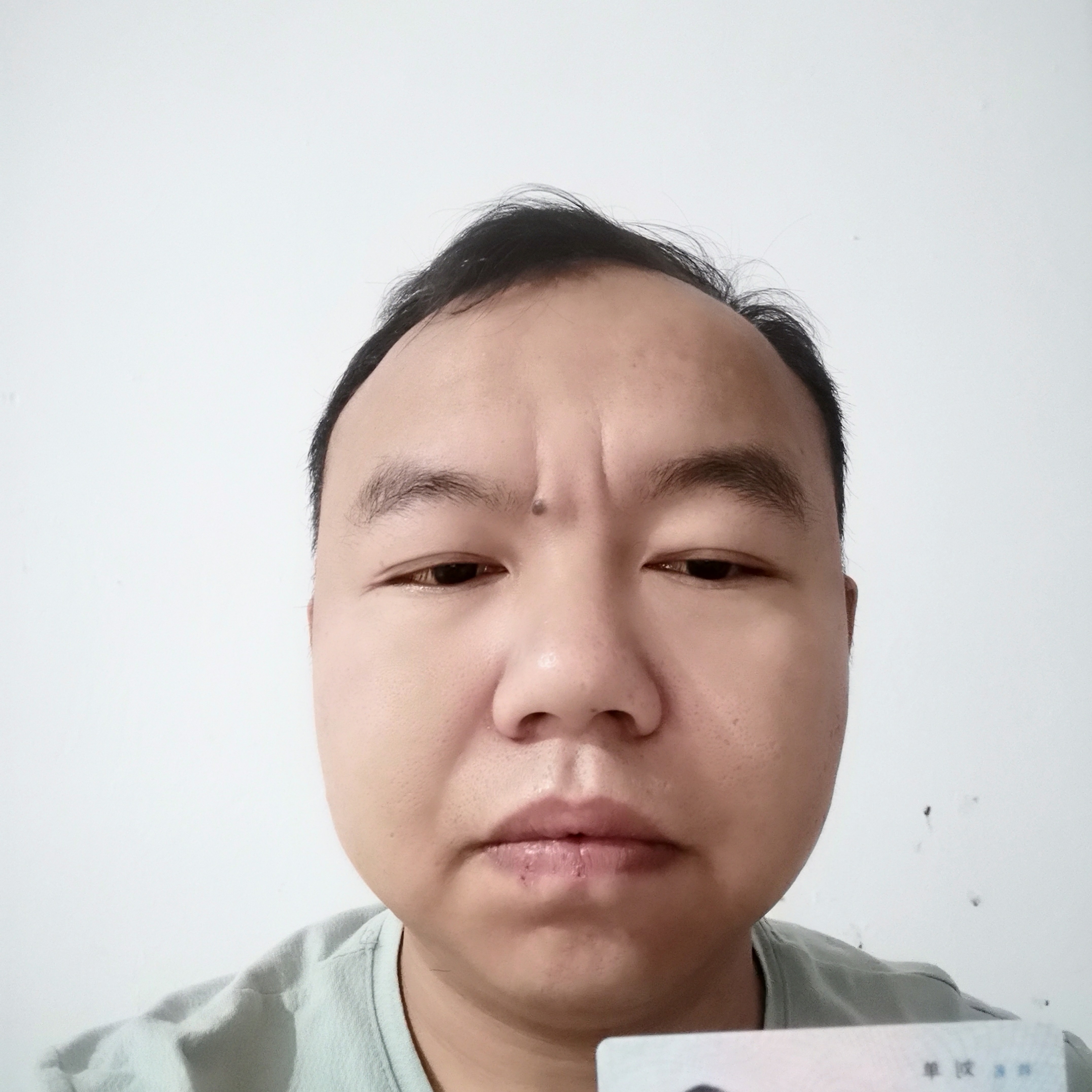 欣喜那小懒猪的照片