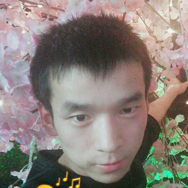 尊敬爱恋晨的照片