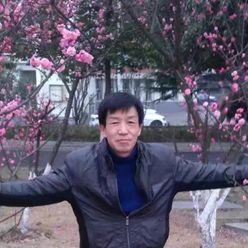 为谁孤独的照片
