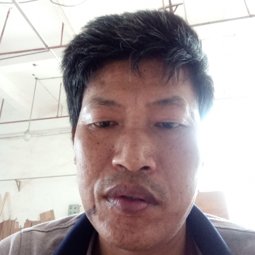 小蝴蝶回首靓丽的照片