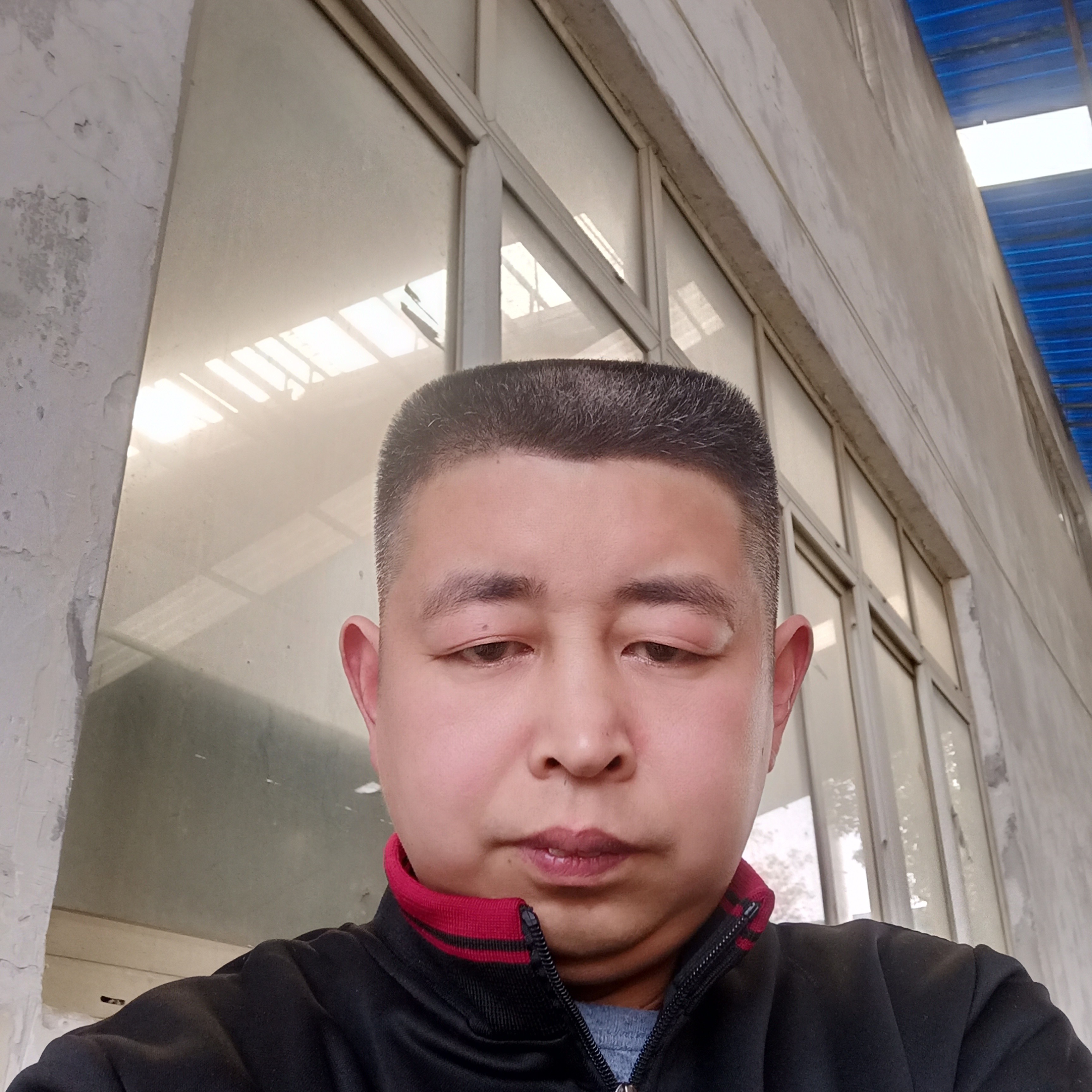 大雁等待勤奋的照片