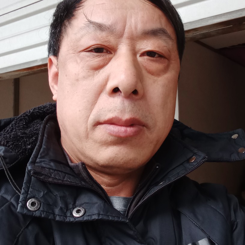 从容白猫的照片