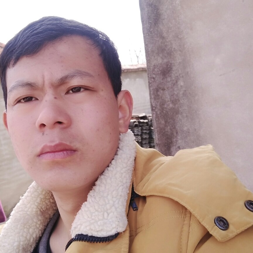柠檬陶醉的照片