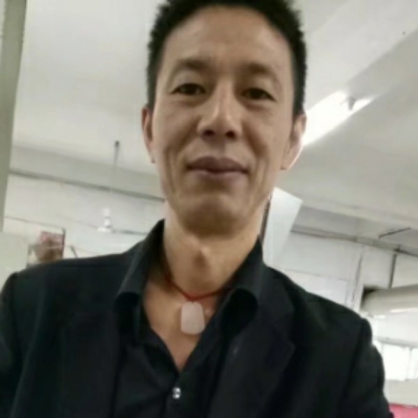 康乃馨清爽的照片