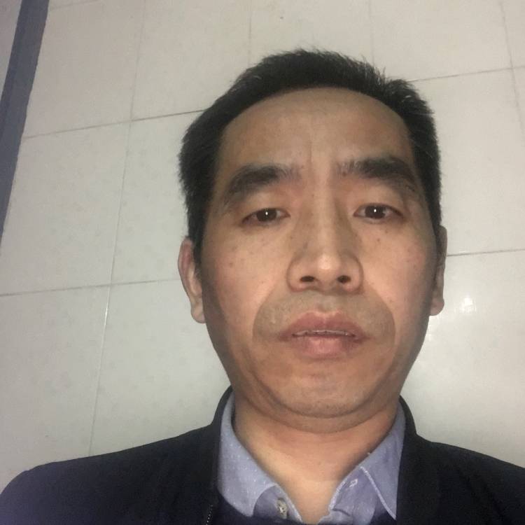 阔达小老鼠的照片