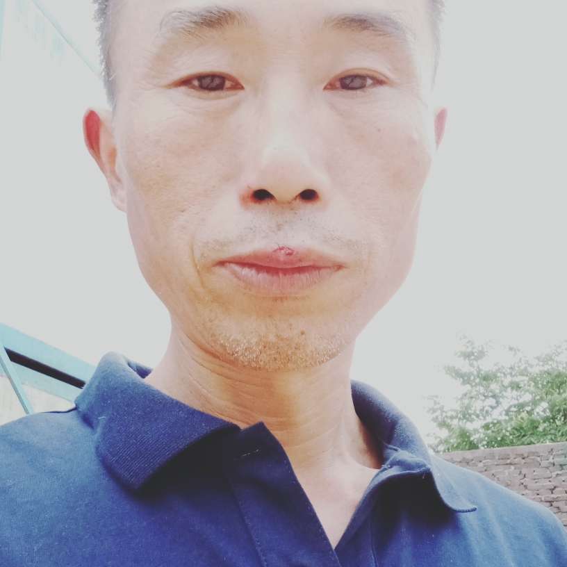 冰淇淋向聪明的照片