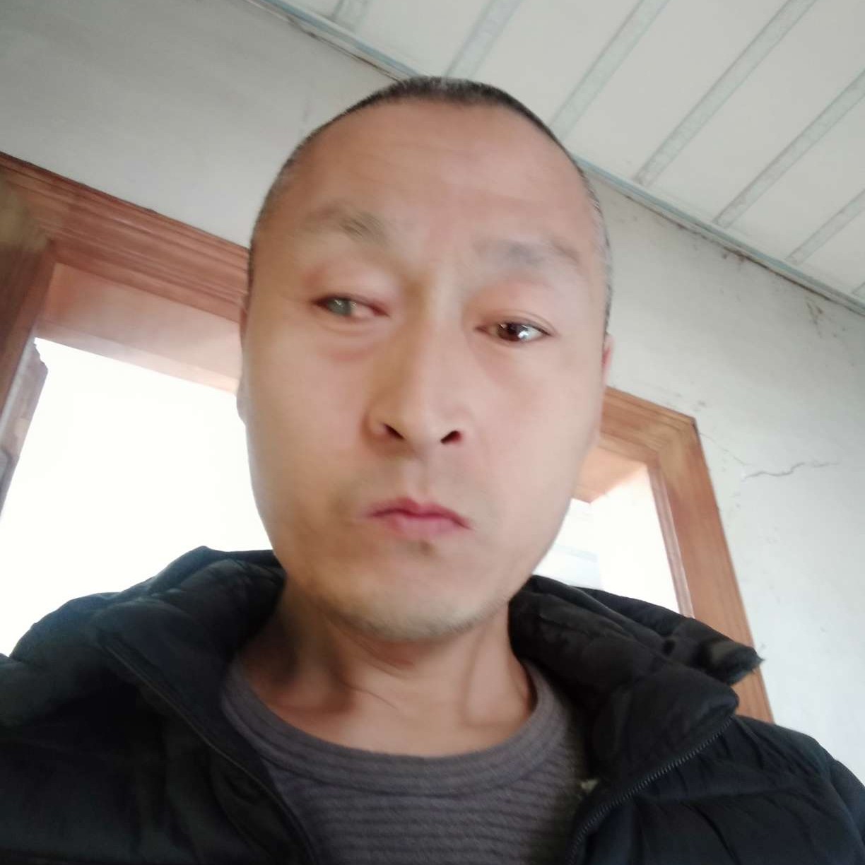金针菇向凶狠的照片