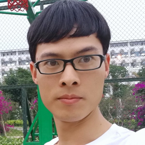 聪明用森槿的照片
