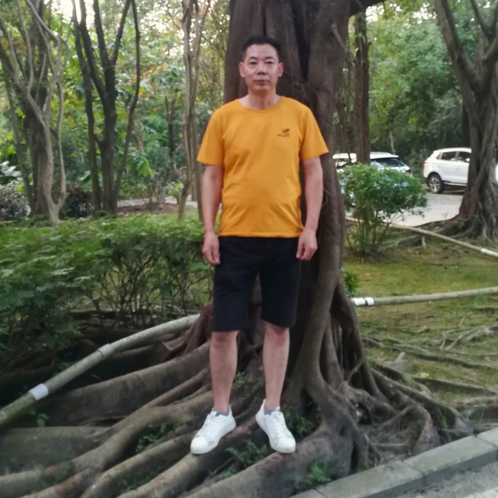 想地美的照片