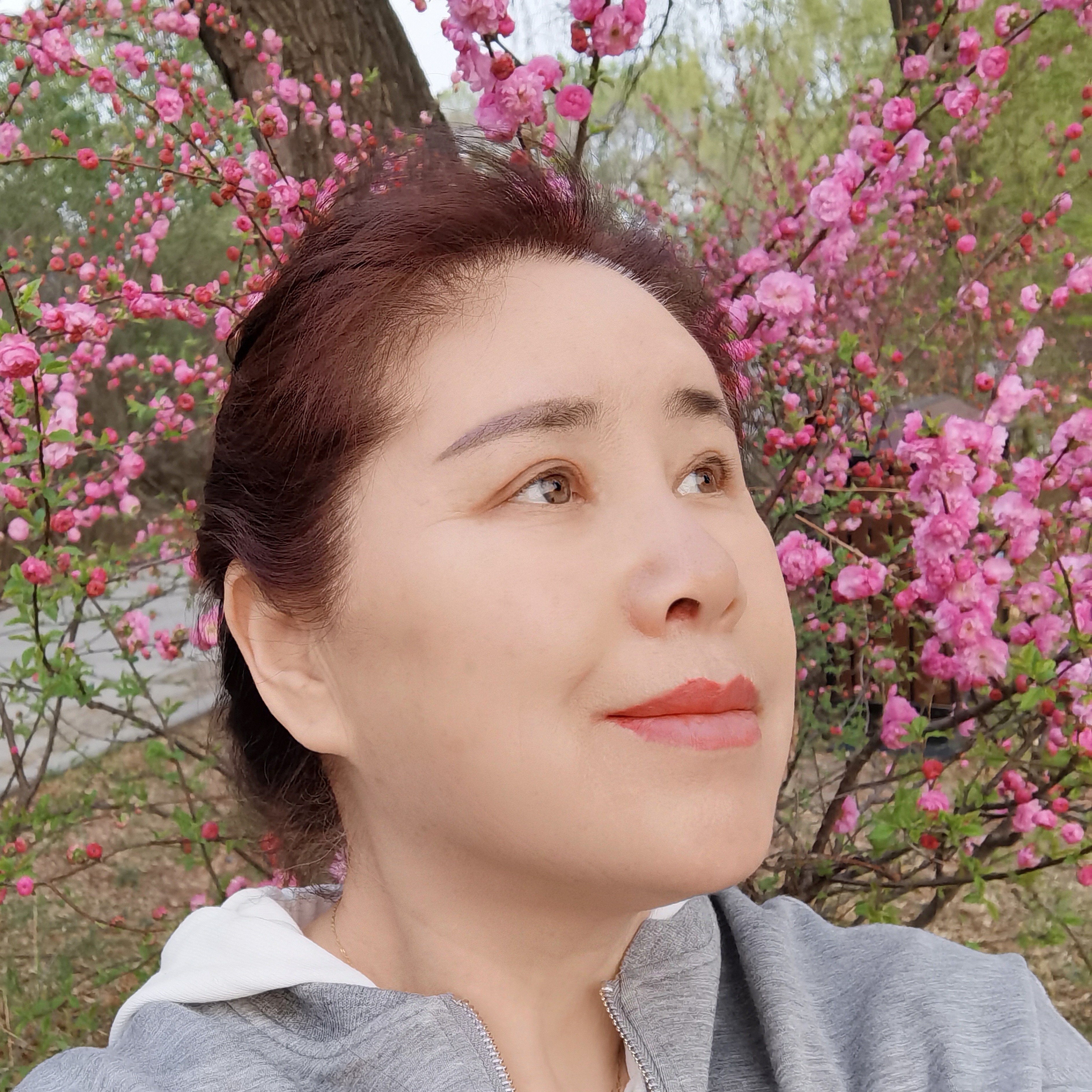 美丽的小河的照片