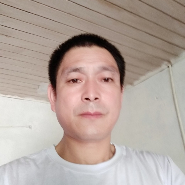迷人羊的照片